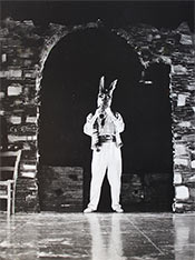 Peter Whyman in 'The Ass'